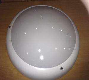 Luxbrite ALSL02 Anti-ligature round light fitting