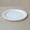 Healsafe White Plates