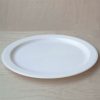 Healsafe White Plates