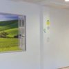 Chromaphons Sound Absorbing Panels