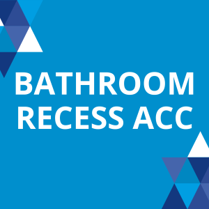 BATHROOM RECESS ACCS