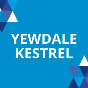 YEWDALE KESTREL