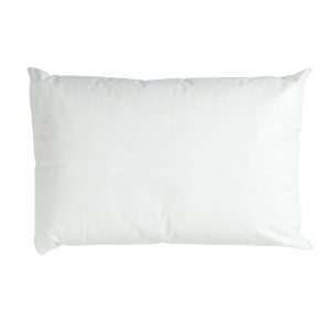 Dri-Shield Wipe Clean Polypropylene Pillow - PW027-46-69