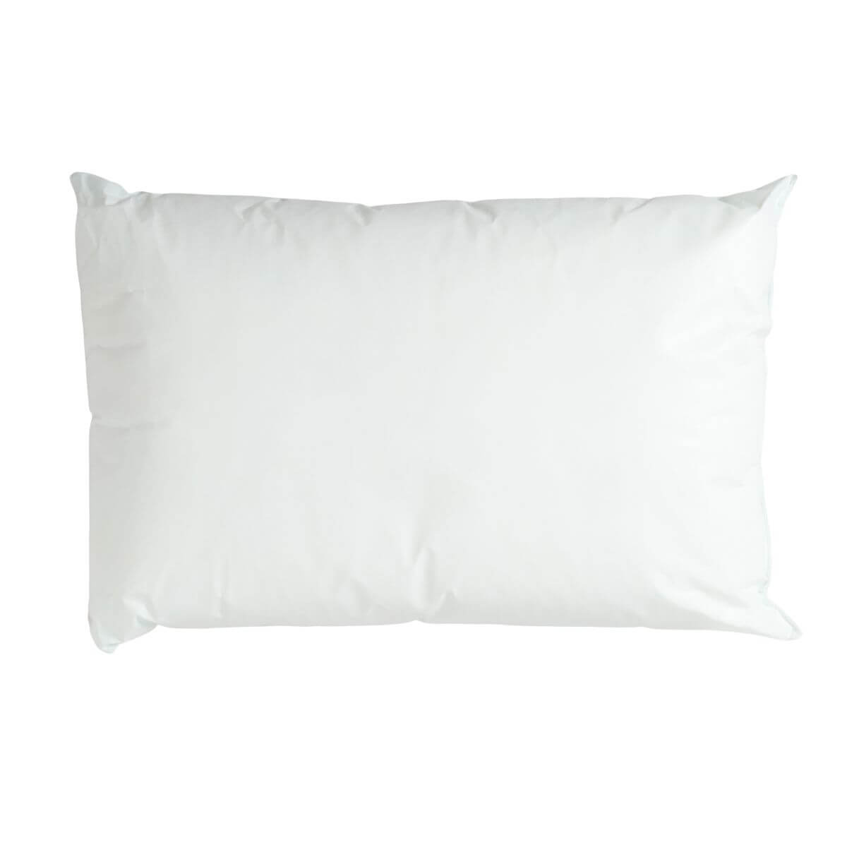 Dri-Shield Wipe Clean Polypropylene Pillow - PW027-46-69